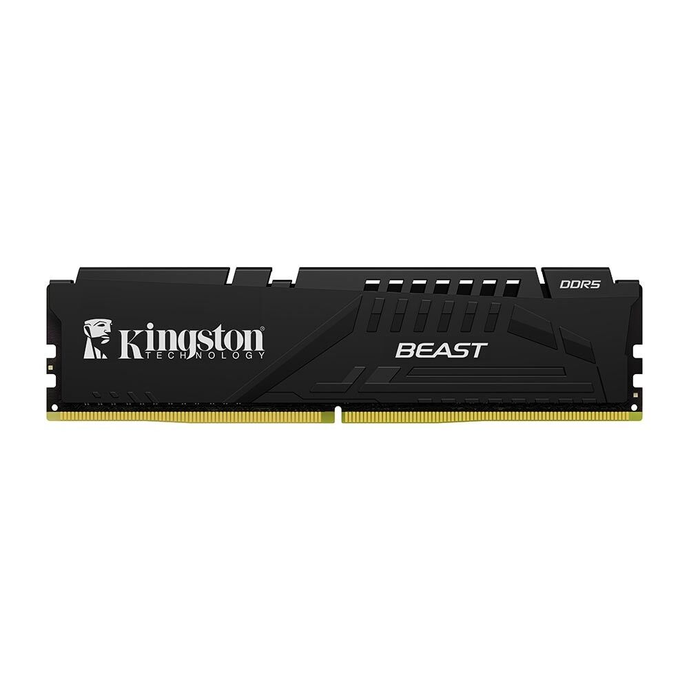 16 Gb Ddr5 5600mhz Kingston Beast CL36 Expo (KF556C36BBE-16TR)