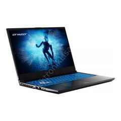 Erazer Deputy P60 MD62594 i5-12450H 16GB 512GB SSD 8GB RTX4060 15.6'' DOS